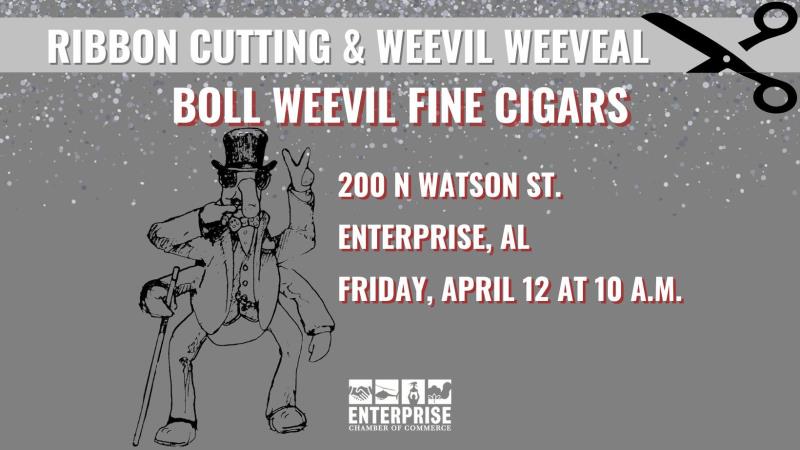 Ribbon Cutting & Weevil Weeveal for Boll Weevil Fine Cigars