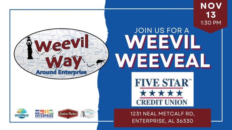 Weevil Weeveal at Five Star Credit Union