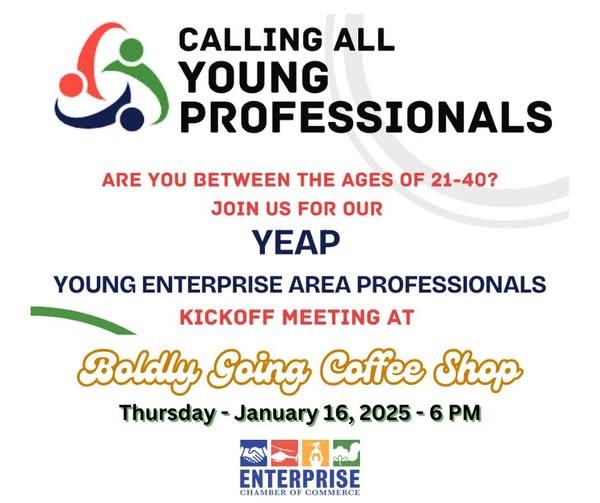 Young Enterprise Area Professionals Meeting